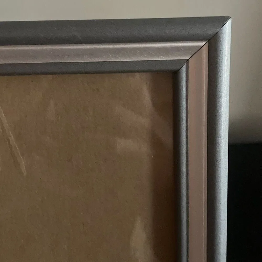 Simple silver metal picture frame standing and wall mountable 8x10 inches